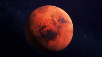 Elon Musk o kolonizacji Marsa: „część ludzi prawdopodobnie umrze już na początku”