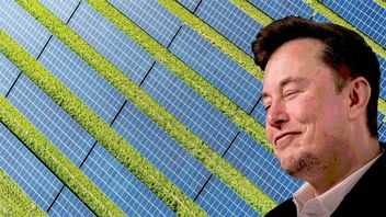 Elon Musk chce przekształcić każdy dom w elektrownię