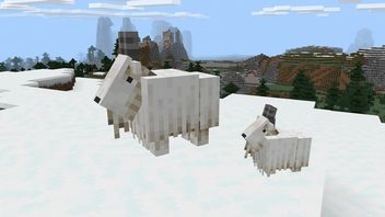 Minecraft 21w18a pozbywa się kolejnego błędu sprzed lat i wprowadza agresywne kozy