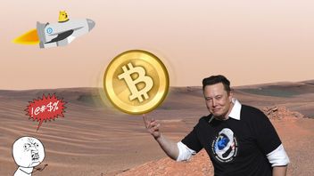 Posiadacze Bitcoinów są wściekli na Elona Muska