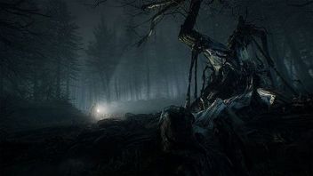 Blair Witch jednorazowo wystarczy na 5-6 godzin