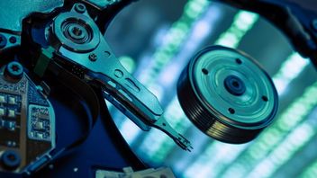 Kryptowaluta Chia zjada dyski SSD, ale popularność nie słabnie