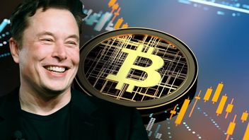 Elon Musk wspiera idee Rady Górnictwa Bitcoinów, by zmienić rynek BTC