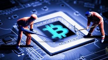 Powstało jacuzzi ogrzewane koparkami bitcoin. Elon Musk lubi to
