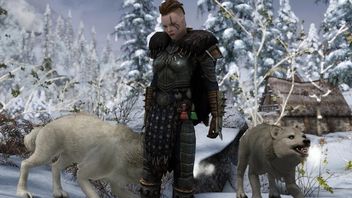 Skyrim otrzymał ostateczną wersję popularnego moda