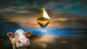 Pomysłowy rolnik zasila koparkę Ethereum energią z krowich odchodów