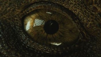 Miliardowy Jurassic World 2 i debiut nowego Ant-Mana w USA