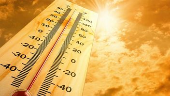 „Lustrzana tkanina” z Wuhan uratuje nas od upału?