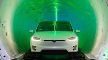 Elon Musk pomoże Florydzie pozbyć się korków