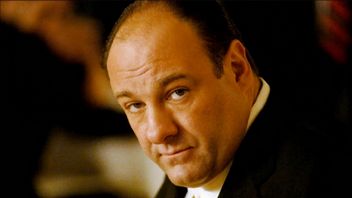 Gwiazda Sopranos mogła zagrać w The Office; HBO zapłaciło za odrzucenie roli