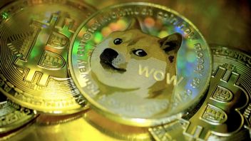 „Wszystkie kryptowaluty to oszustwo” - twórca dogecoina szczerze o cyfrowej walucie