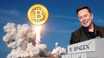 Elon Musk przemówił - bitcoin znowu drożeje