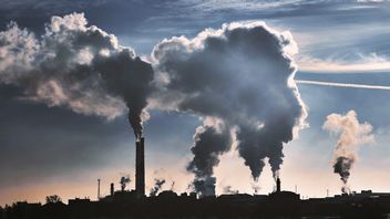 Zaledwie 5% elektrowni generuje 73% zanieczyszczeń, Bełchatów na wysokim miejscu