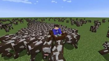 Gracz Minecrafta wykorzystuje krowy do surfingu