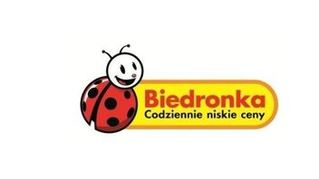 Wyprzedaż gier w Biedronce – PC-towe i konsolowe produkcje w promocyjnych cenach