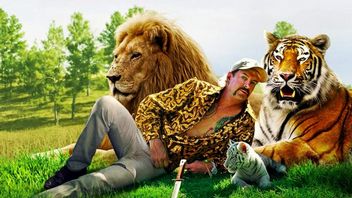 Zoo Tiger Kinga sprzedane. Nie będzie tam dzikich zwierząt przez kolejne 100 lat