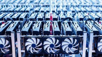 Sąd zwraca pół miliona kart graficznych kopaczom kryptowalut