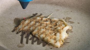 Kurczak smażony laserami - tak wygląda przyszłość drukarek 3D