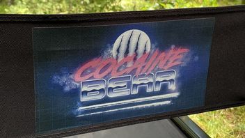 Cocaine Bear - zakończono zdjęcia do filmu o kokainowym misiu