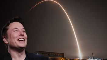 Starlink z gigantycznymi opóźnieniami zamówień; klienci żądają zwrotów