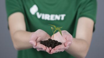 Paliwo przyszłości; odbył się pierwszy lot w 100 procentach na „benzynie” z kukurydzy