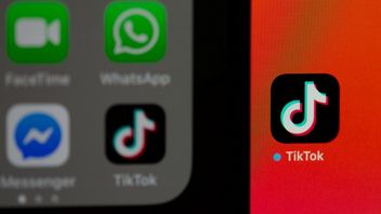 TikTok królem Internetu - pokonał już nawet Google