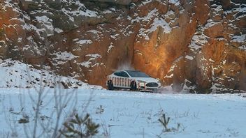 Wysadził Teslę w powietrze, bo nie chciał płacić za naprawę