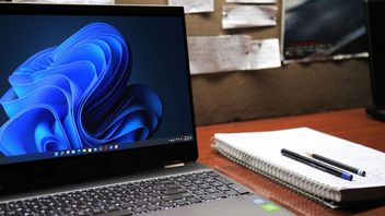 Windows 11 coraz popularniejszy, Nvidia i Intel nadal dominują na Steamie