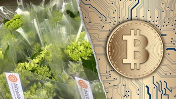 Rolnik ogrzewa szklarnie koparkami BTC; walczy z rosnącymi cenami gazu