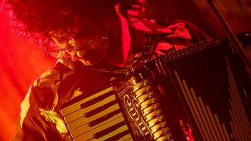 Kędzierzawy włos, hawajska koszula i akordeon. Daniel Radcliffe jako Weird Al Yankovic