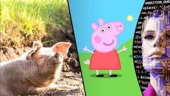 Zrozumieć świnie - naukowcy opracowali algorytm AI, który w tym pomoże