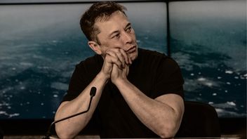 Elon Musk kontra Władimir Putin na niedźwiedziu - szef Tesli proponuje walkę