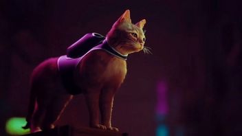 Stray z kategorią wiekową w Korei; premiera może być blisko