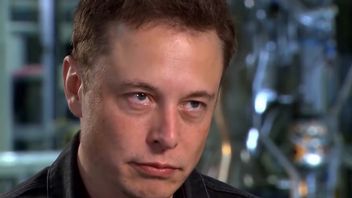 Elon Musk: taksówki roboty już w 2024 roku