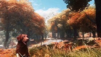 Skyrim na 900 modach wygląda jak inna gra