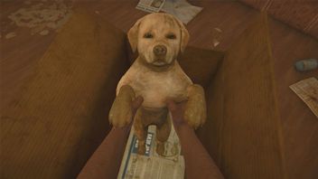 Dzięki słodkim zwierzątkom polski House Flipper znów ma tłumy graczy