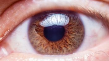 Śmierć może być odwracalna. Naukowcy ożywili martwe oczy