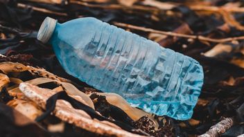 Enzym stworzony przez AI zjadł cały plastik, jaki mu dali