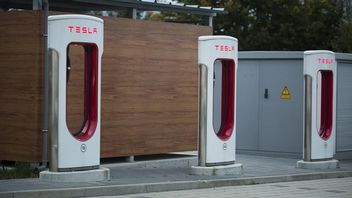 Nowe fabryki Tesli tracą miliardy dolarów