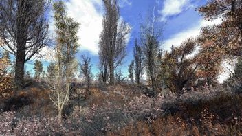 Fan tworzy nowy remaster gry STALKER: Cień Czarnobyla; wygląda okazale