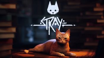 Stray pożądany przez tłumy. Gra o kocie podbija Steam jeszcze przed premierą