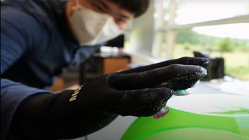 Takich rękawiczek jeszcze nie było, inspirowali się ośmiornicą