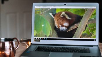 Która przeglądarka zużywa najwięcej pamięci RAM?