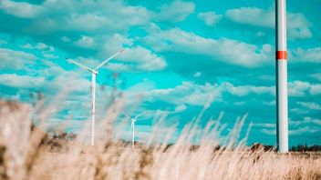 6 lat - za tyle może się zwrócić koszt przejścia na odnawialne źródła energii