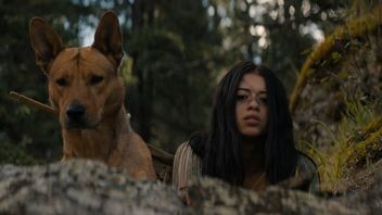Na potrzeby Prey specjalnie adoptowano psa - i nie był to łatwy aktor