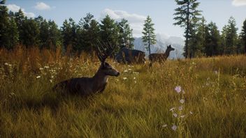 Way of The Hunter - gdzie znaleźć wszystkie zwierzęta?