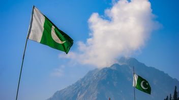 Podatek od kart graficznych? Wyliczają go od ilości pamięci