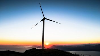 Naukowcy przerobili łopaty od turbin wiatrowych na... żelki. Innowacyjne podejście do recyklingu