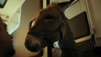 Ogłoszono polskiego kandydata do Oscara 2023