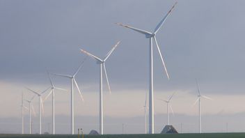 Trzy elektrownie jądrowe dostarczą tyle energii co ta farma wiatrowa